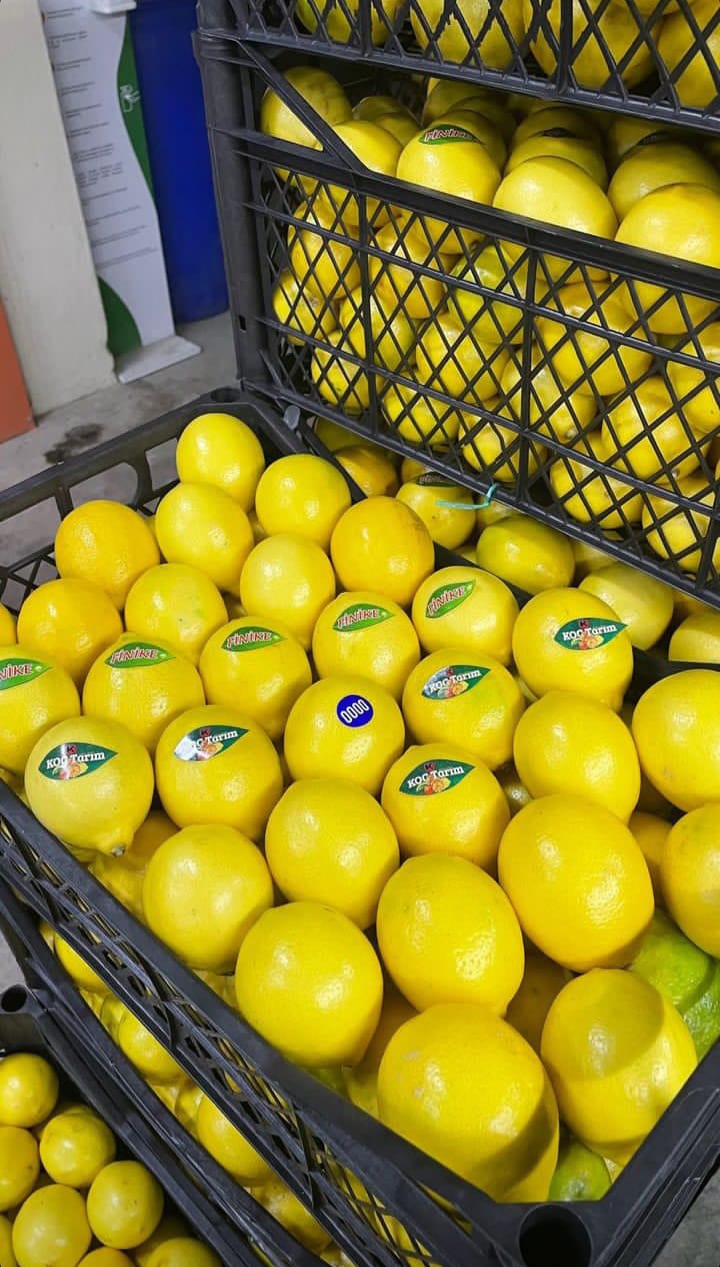 LEMON 